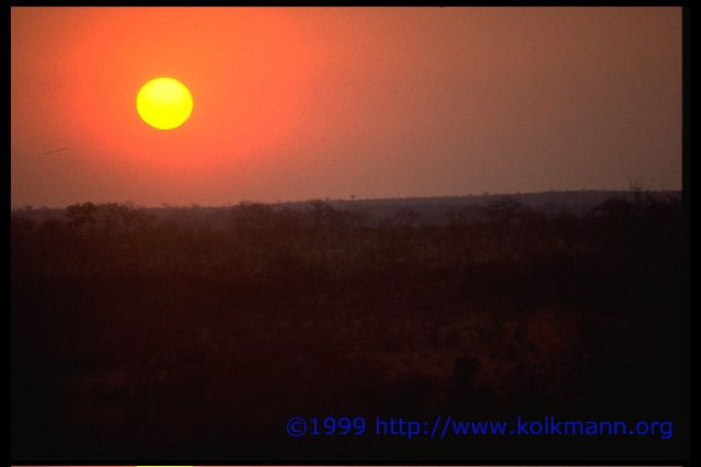 Sonnenuntergang im Kr&uuml;gerpark