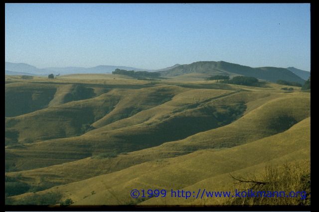 Drakensberge