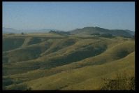 Drakensberge